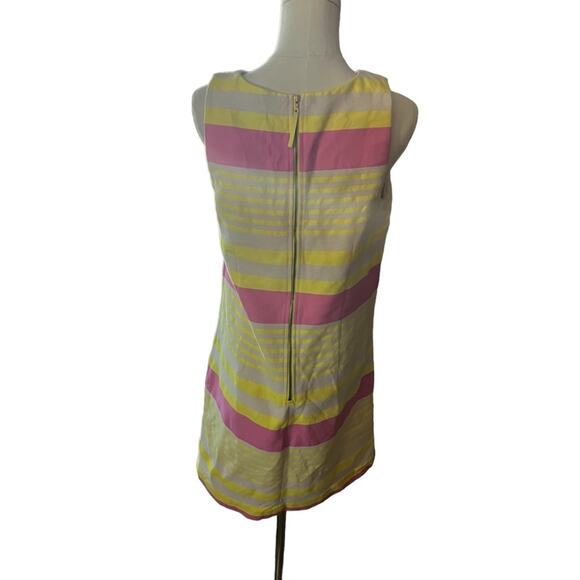 Ann Taylor Loft Corded Dobby Striped Sleeveless Shift Dress Barbiecore  Size 8 - Picture 4 of 8